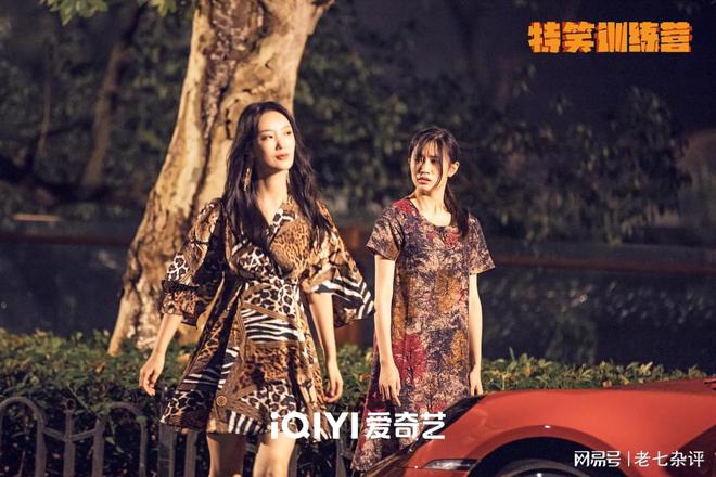 王李丹妮最新动态深度解析，三大要点悉数呈现