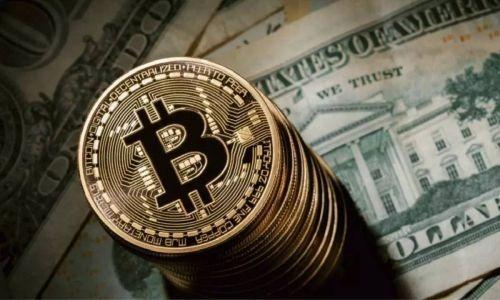 派币最新价格更新通知
