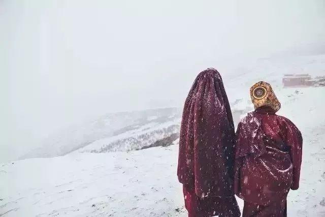 表番最新，探索自然美景，寻找内心平和与宁静的轻松之旅