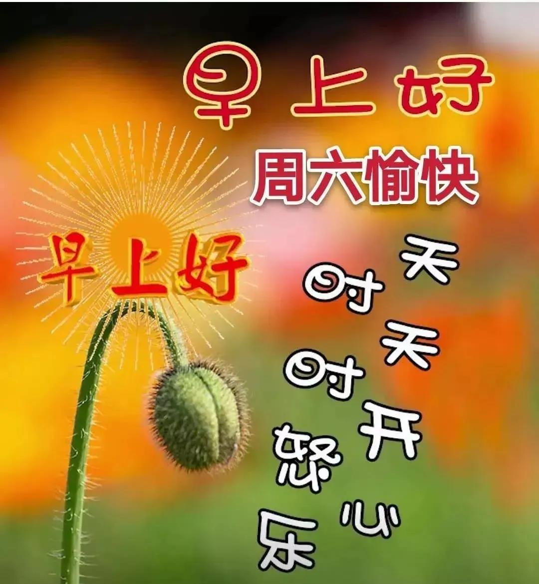 最新更新视频，温馨小日常里的友情与陪伴时光