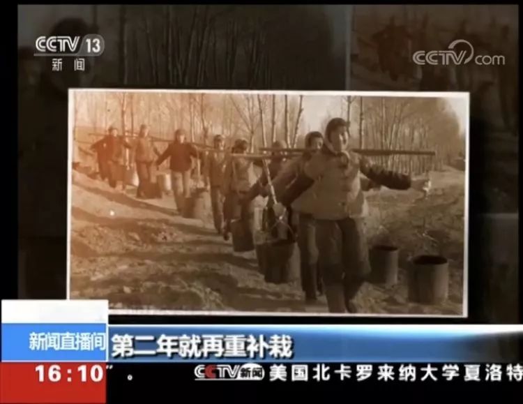 央视揭秘小巷深处的独特风味，隐藏版特色小店的故事