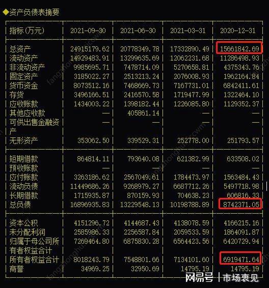 资产负债表最新深度解析与观点阐述