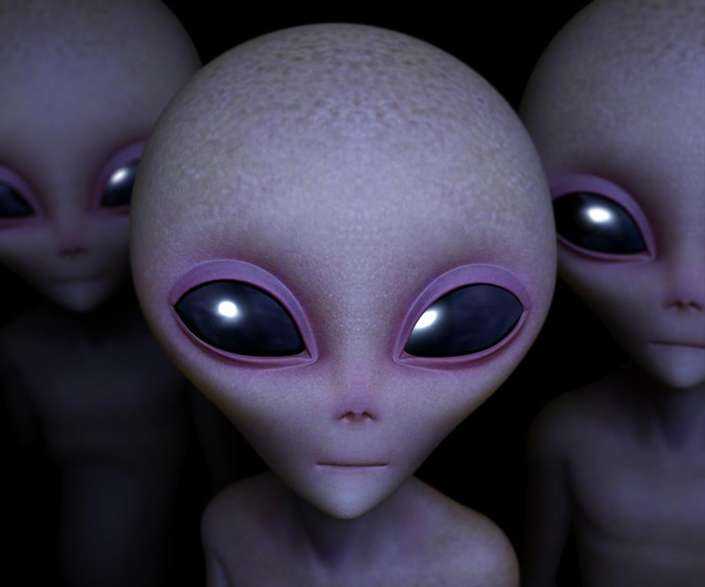 奔跑吧最新一期，全新体验与无尽精彩