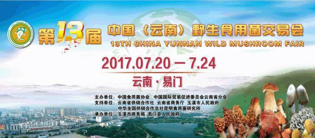 兰考最新招聘信息，启程探索自然美景，寻找内心平和节奏之旅