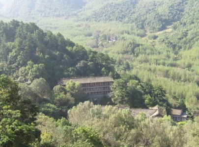 最新林地占用补偿标准，旅行中与自然美景的意外邂逅