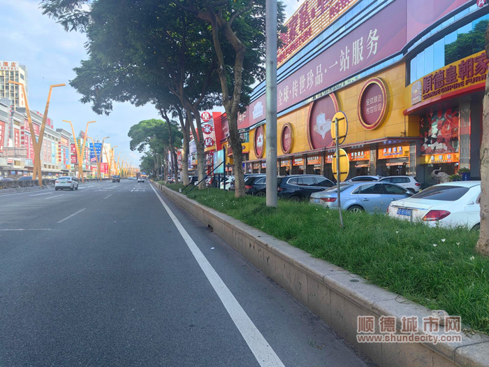 伦教最新道路，励志之路，通往自信与成就感的启程之路