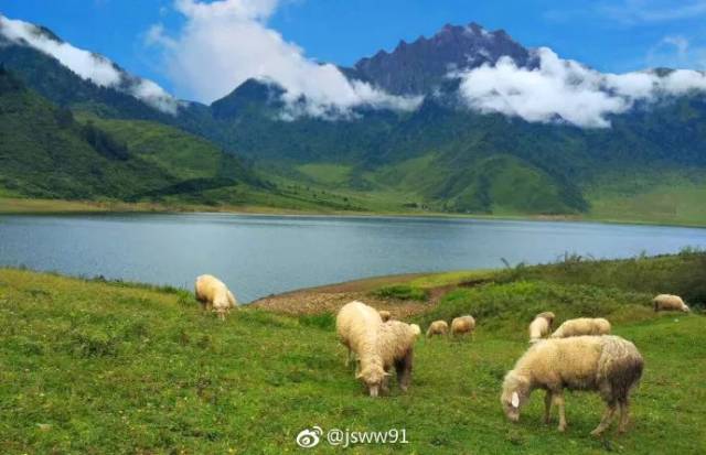 扎堆儿最新版，轻松探索自然美景的旅程