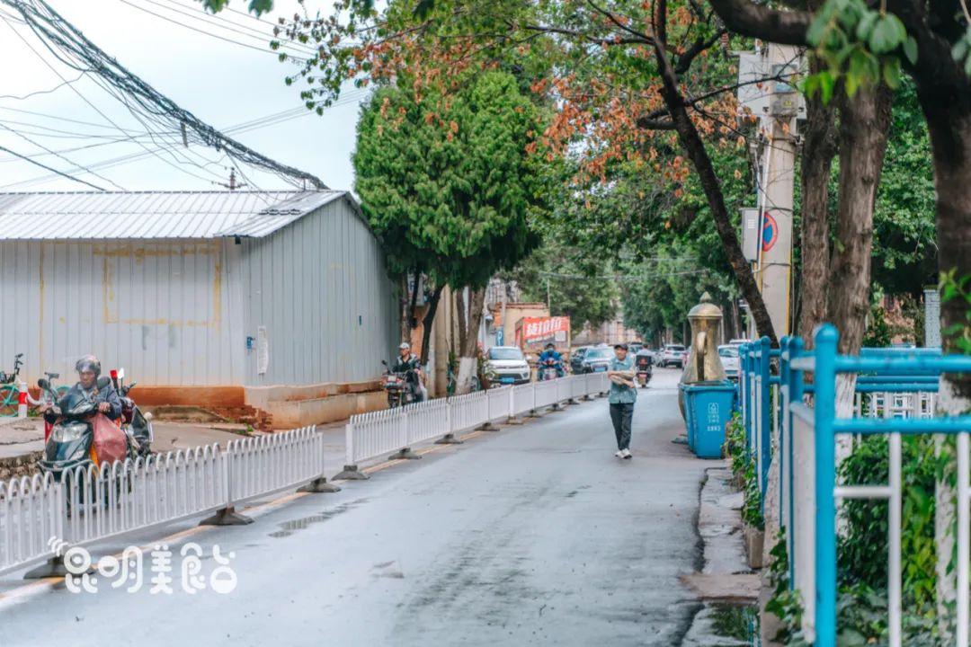 空间宝新版，小巷隐秘宝藏探索之旅，小店奇遇揭秘
