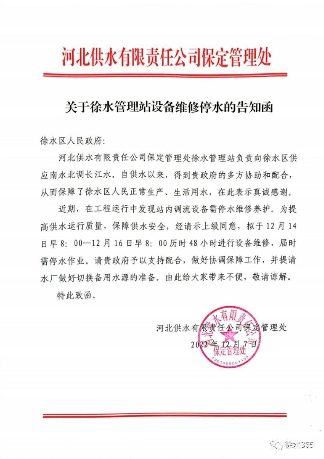 徐水新闻，友情与陪伴的温馨日常最新消息