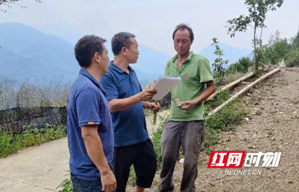 最新消息与步骤指南