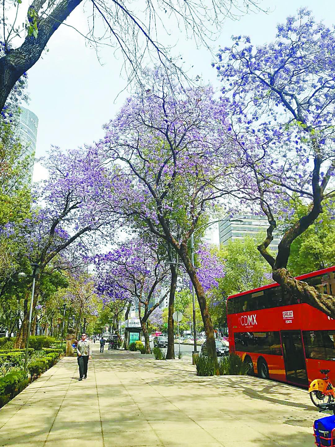 某站最新域名，探索自然美景，寻找内心平和宁静之旅