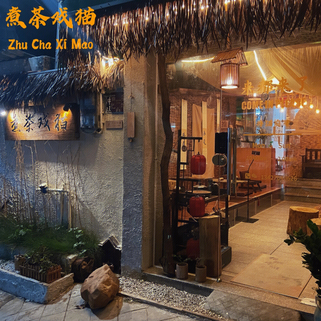 下载站最新，巷弄深处的隐藏宝藏，特色小店的奇妙之旅探索