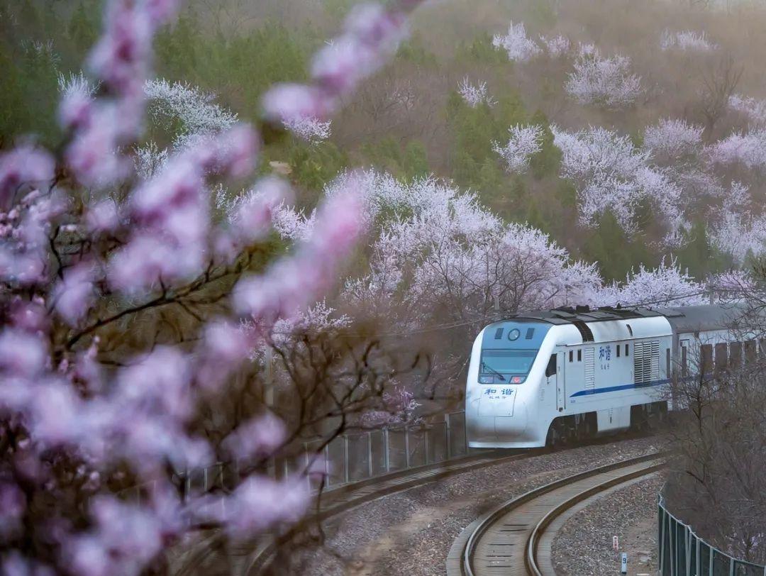 昌平最新疫情动态与探索自然美景之旅