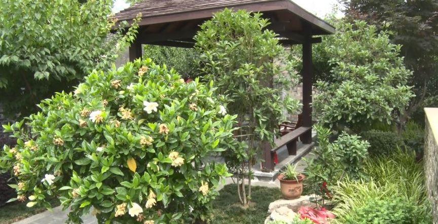 溧水最新招聘，启程探索自然美景，寻找内心宁静之旅