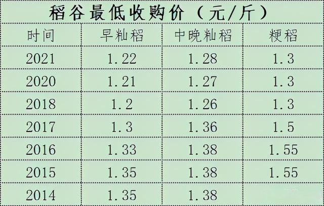 今日稻谷价格行情深度解析，小巷深处的稻谷香探秘之旅