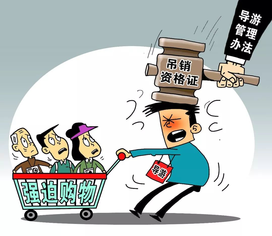 求职之旅