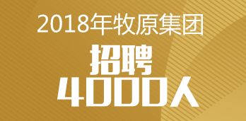 长春最新招聘信息今日更新，与自然和谐共舞，寻找内心平和的职场之旅