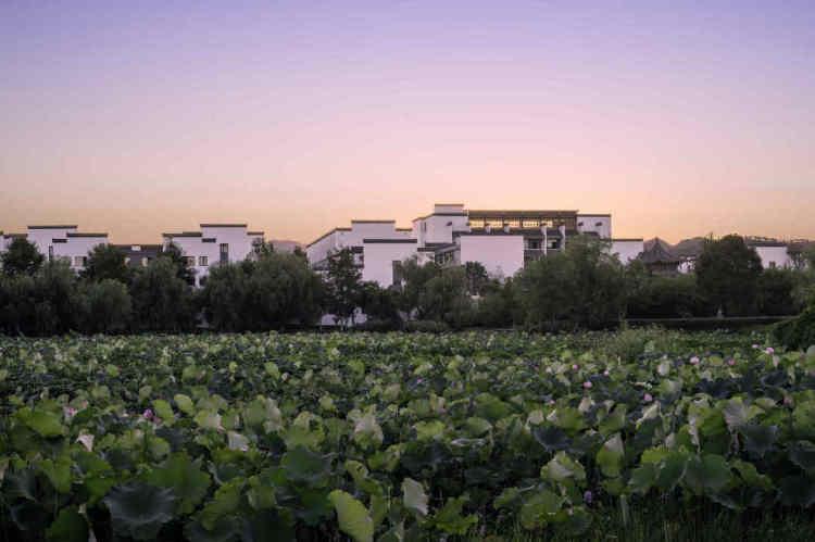 Mo最新版，探索自然美景，寻找内心宁静与平和的轻松之旅