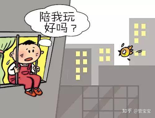 失独家庭补贴最新动态