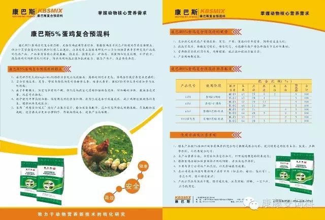 肉毛鸡价格最新行情深度解析，背景、动态与领域地位全面梳理