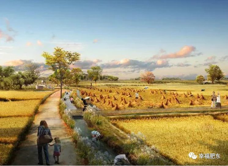 肥东桥头集路最新动态，自然美景之旅，探寻内心平和与宁静的胜地