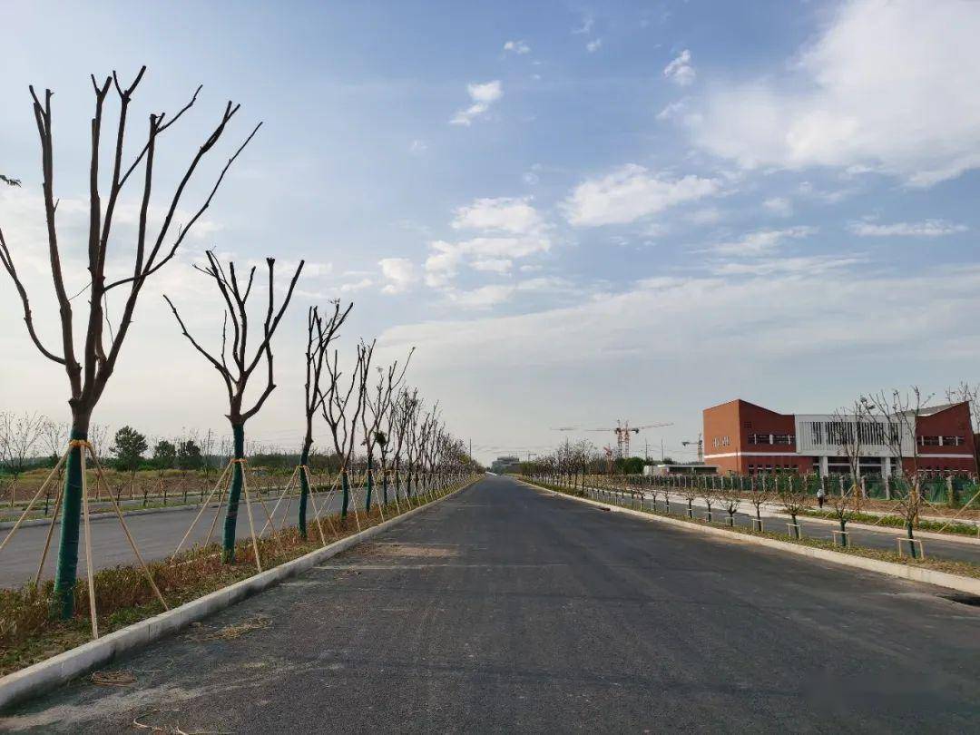 肥东桥头集路新篇章，日常故事的温馨续笔