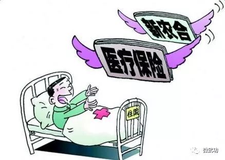武功县合作医疗最新政策概述