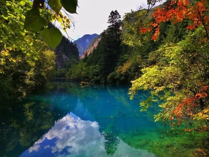 九寨沟景区最新动态，与大自然的奇妙邅遇