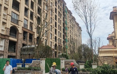 盛泽欧洲城最新进展，城市崛起，友情故事温馨上演