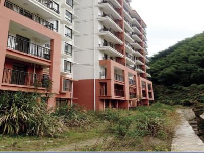 最新二手房屋过户费揭秘，一段房屋旅程的温馨之旅