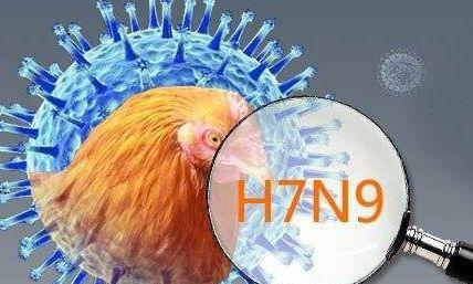 陕西H7N9最新动态，当前形势解读与防控进展全面报告