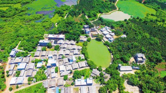 塘沟镇王之刚最新动态报道