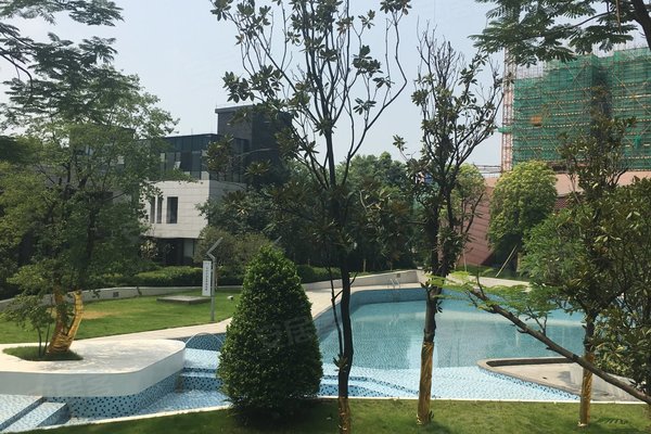 海逸桃花源记最新动态，寻找内心平静的奇妙之旅