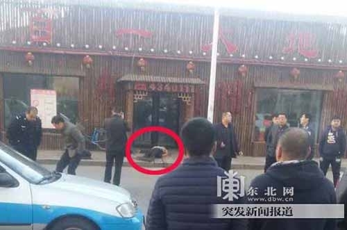 中科贝特环保装备 第13页